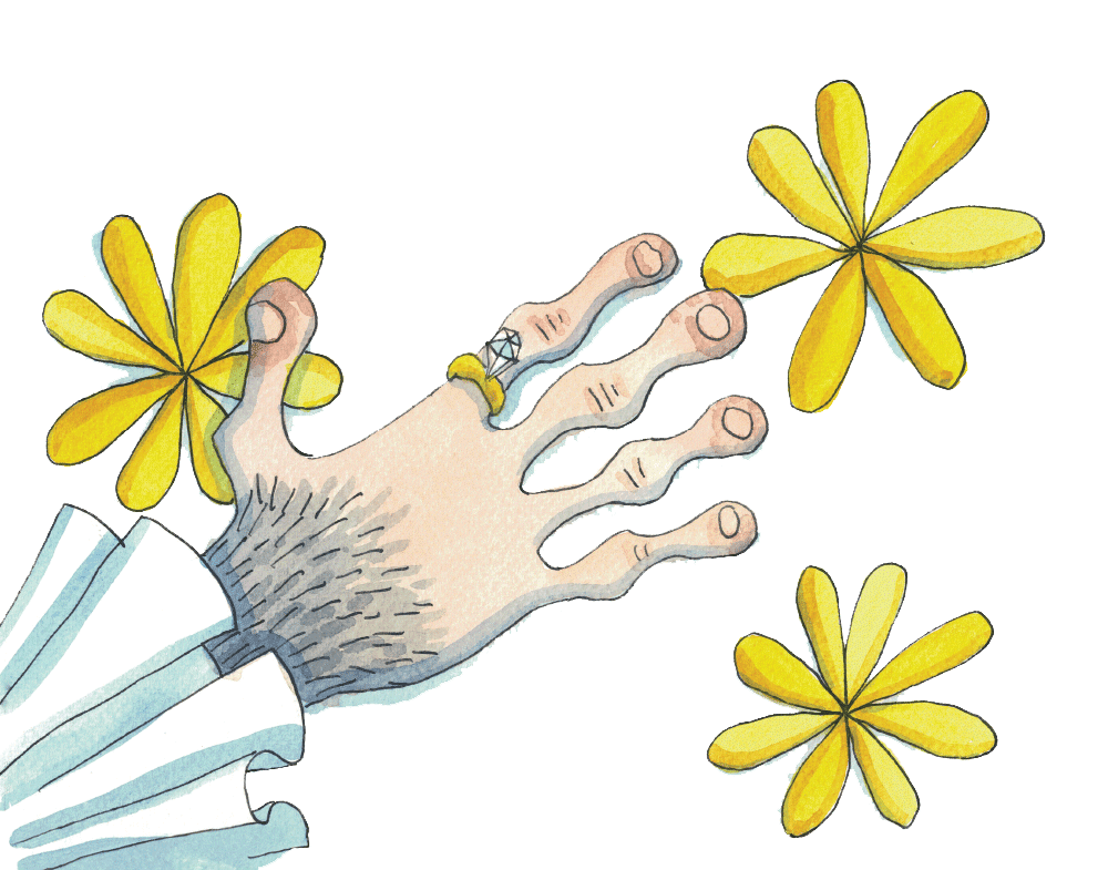 The Rich Man and the Monkey by Idries Shah - Image 4