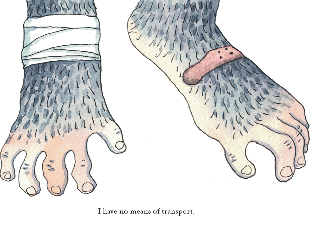 The Rich Man and the Monkey by Idries Shah - Image 7